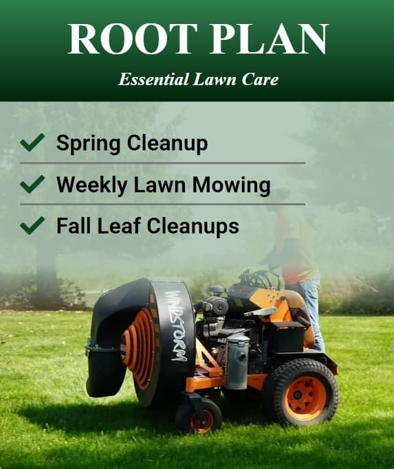Root plan